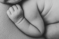 Jade | Newborn