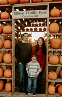 Melissa Soltesz | Sunflower/Pumpkin Mini