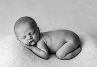 Rhett | Studio Newborn