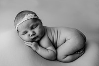 Everlee | Newborn