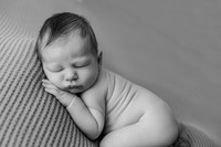 Gander | Studio Newborn