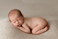 Harrison | Newborn