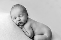 Lincoln Glatz | Studio Newborn