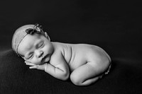 Palmer | Studio Newborn