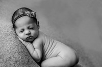 Tillie | Newborn