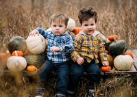 Kyleen Wiseman | Pumpkin Mini