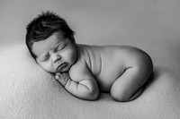 Franklin | Newborn