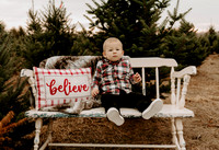 Emily Shallop | Tree Farm