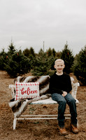 Shannon Pummill | Tree Farm